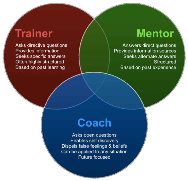 mentoring & training differences